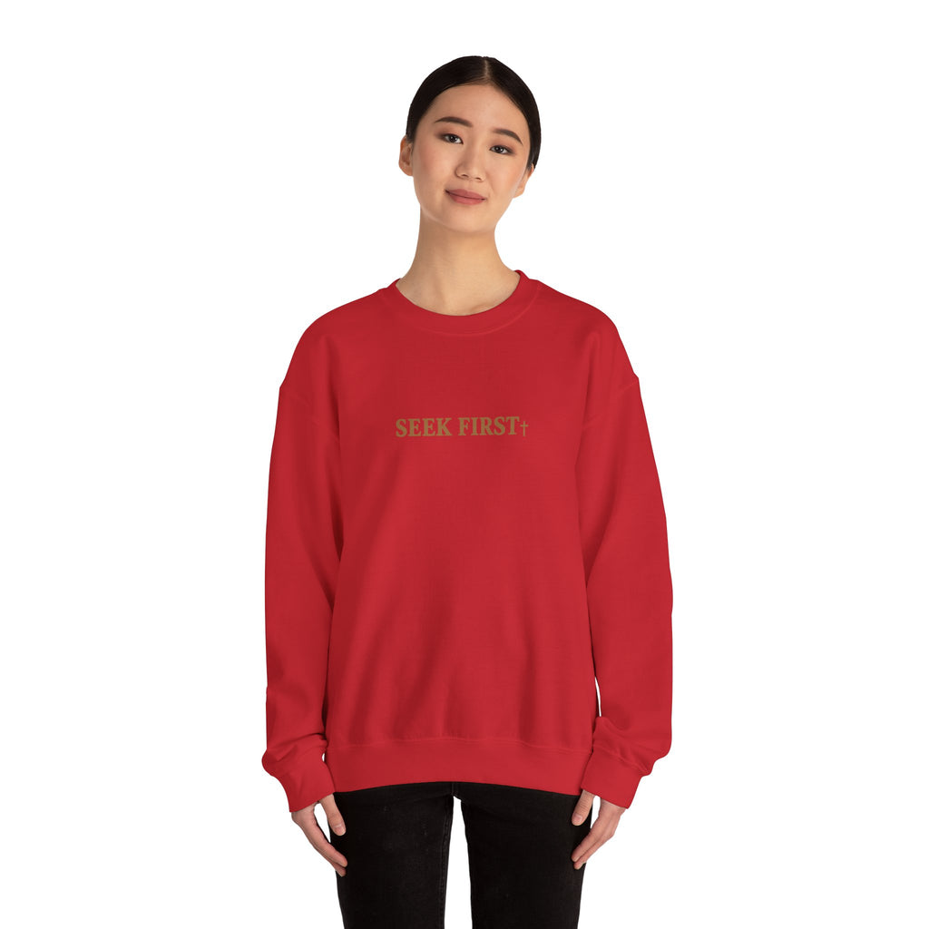 Seek Crew Neck Pullover